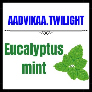 Eucalyptus Mint Fragrance Oil