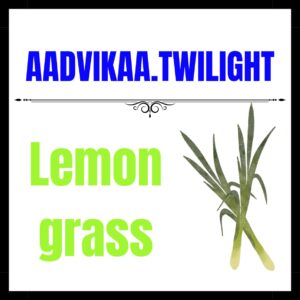 Lemon Grass Fragrance Oil